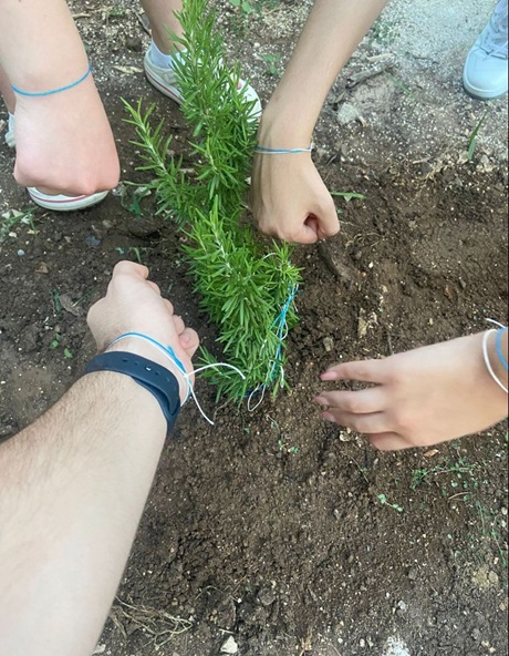 Green Level Interact Club -  Adana Interact Club