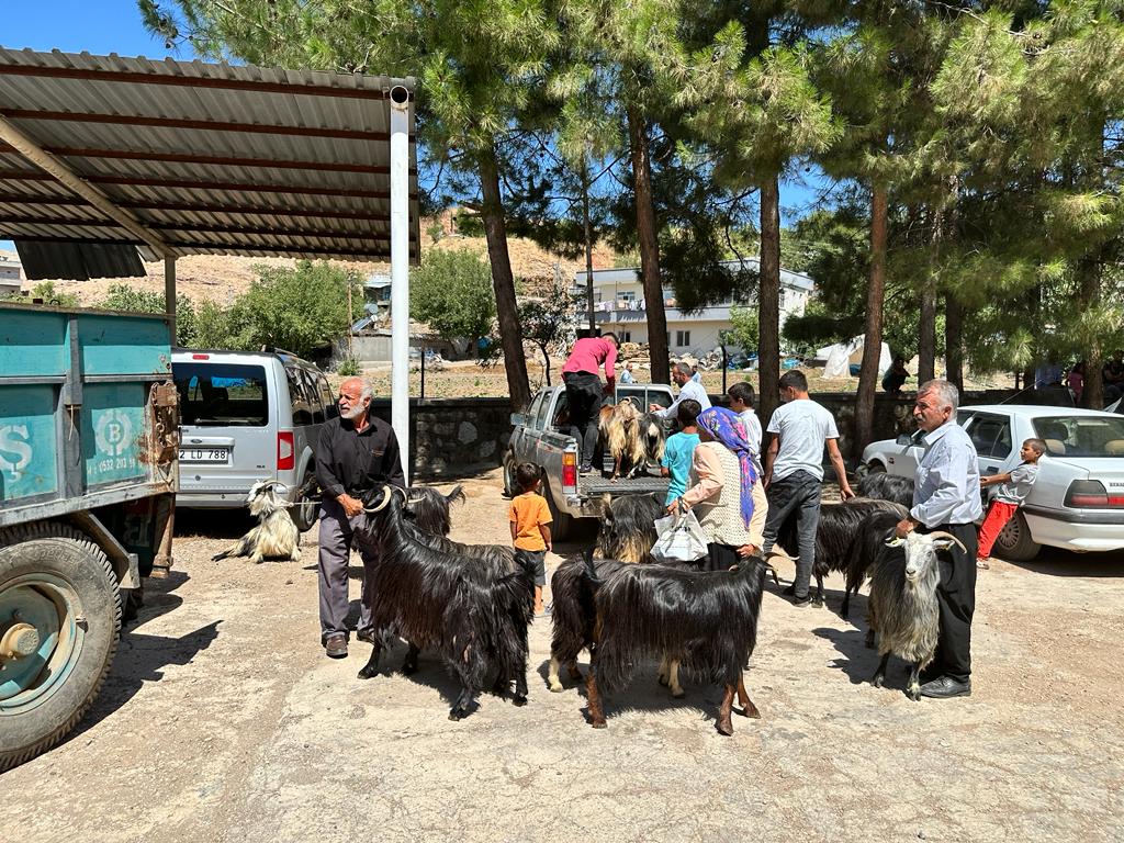 District 2430 Nemrut RC got Goat Aid From Rotary to Families affected by Earthquake