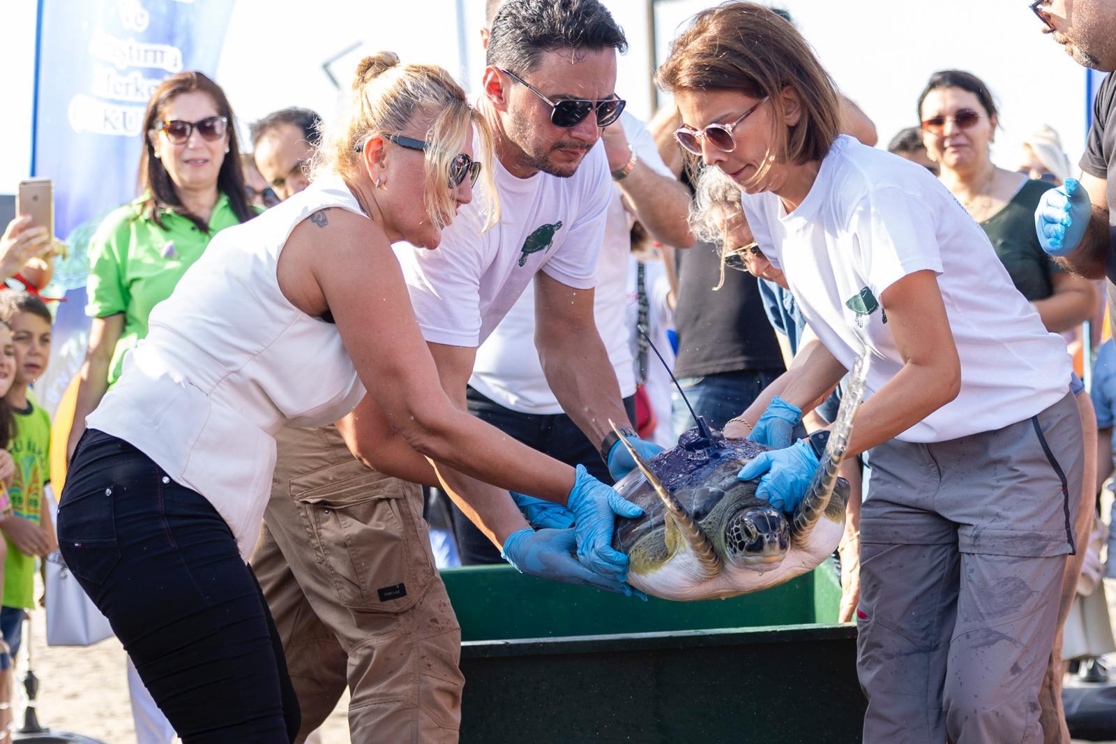 Two Sea Turtles, named Kizkalesi and Mersin University were fitted with satelite tracking devices and sent off to the Sea...