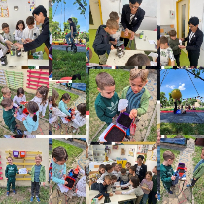 Rotary Climate Action 2025/26 – Unite for ECO Good - 2